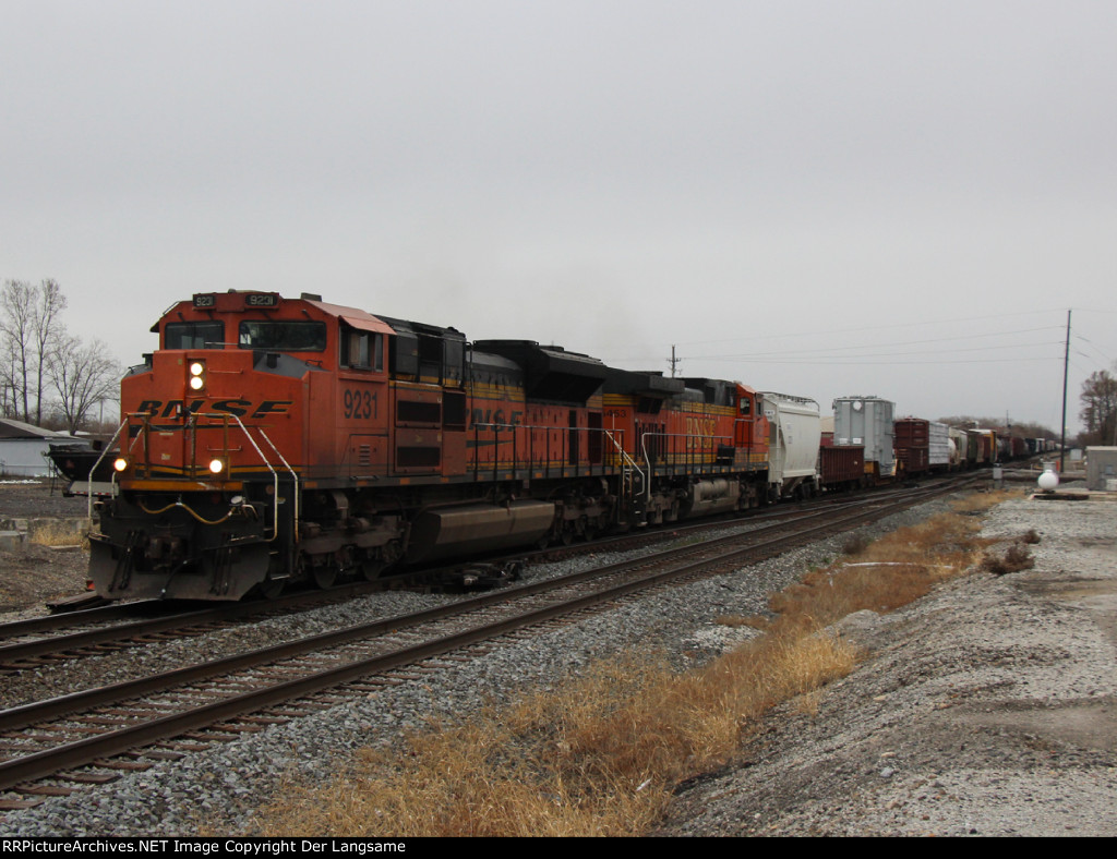 BNSF 9231 L59591-29